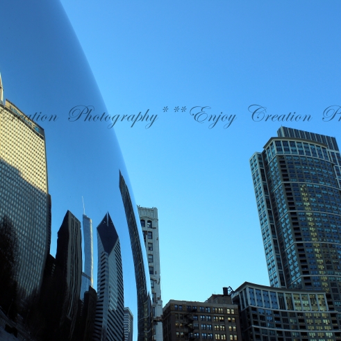 Closeup of the Bean's Reflection